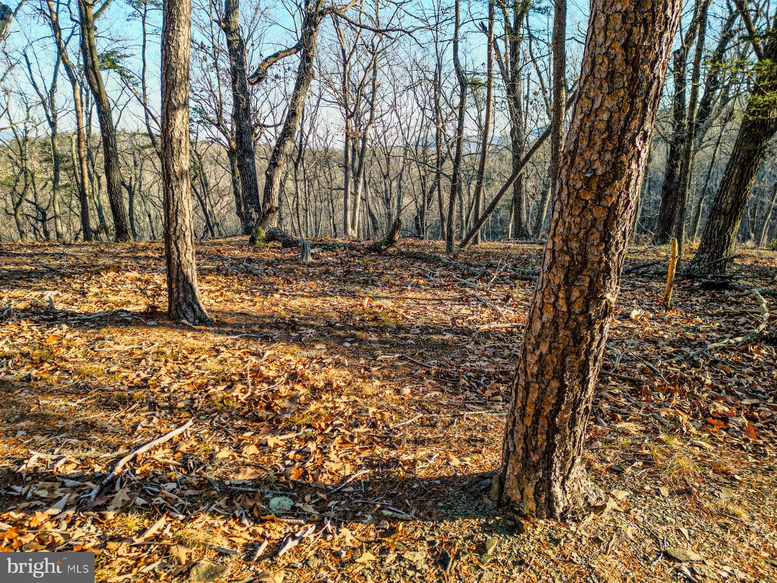 MOUNTAIN COVE - Land