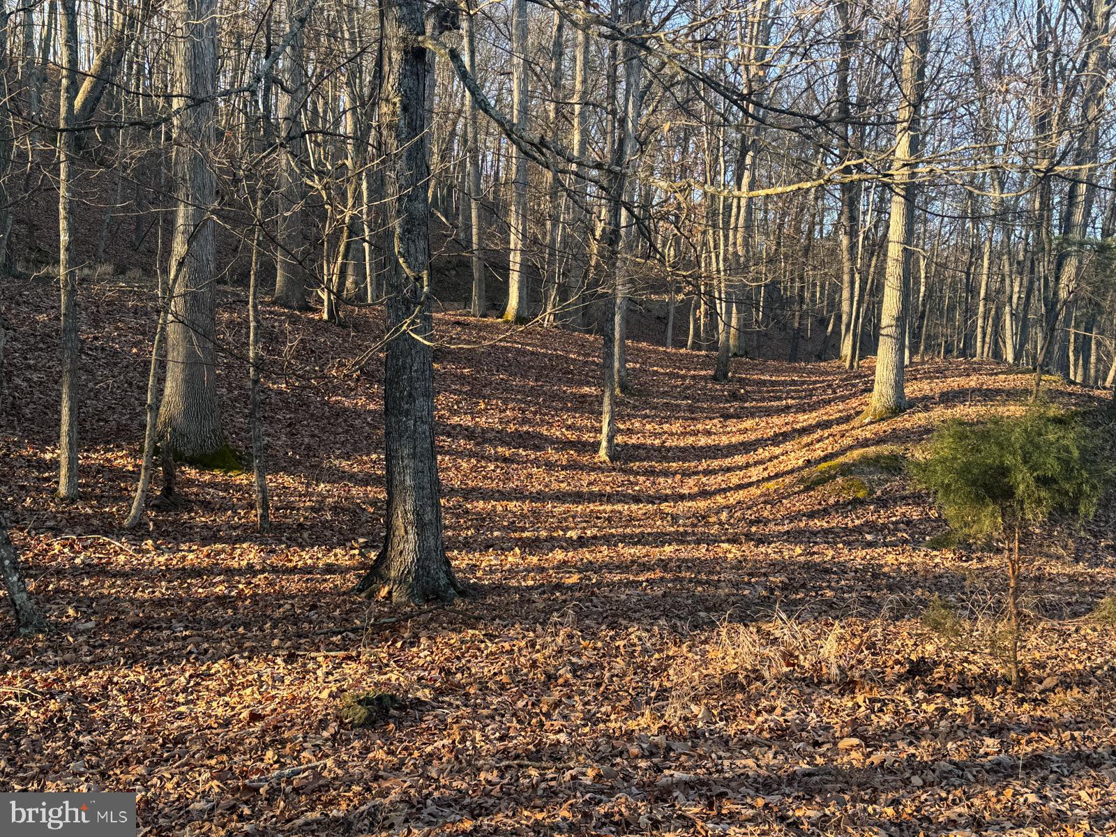 MOUNTAIN COVE - Land