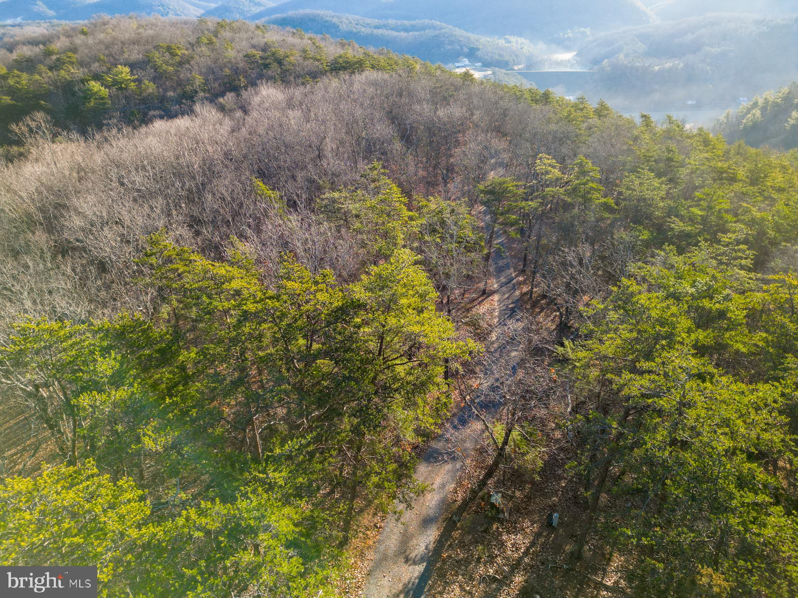 MOUNTAIN COVE - Land