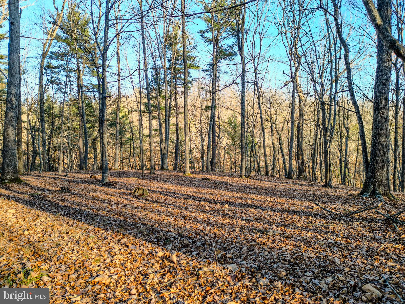 MOUNTAIN COVE - Land