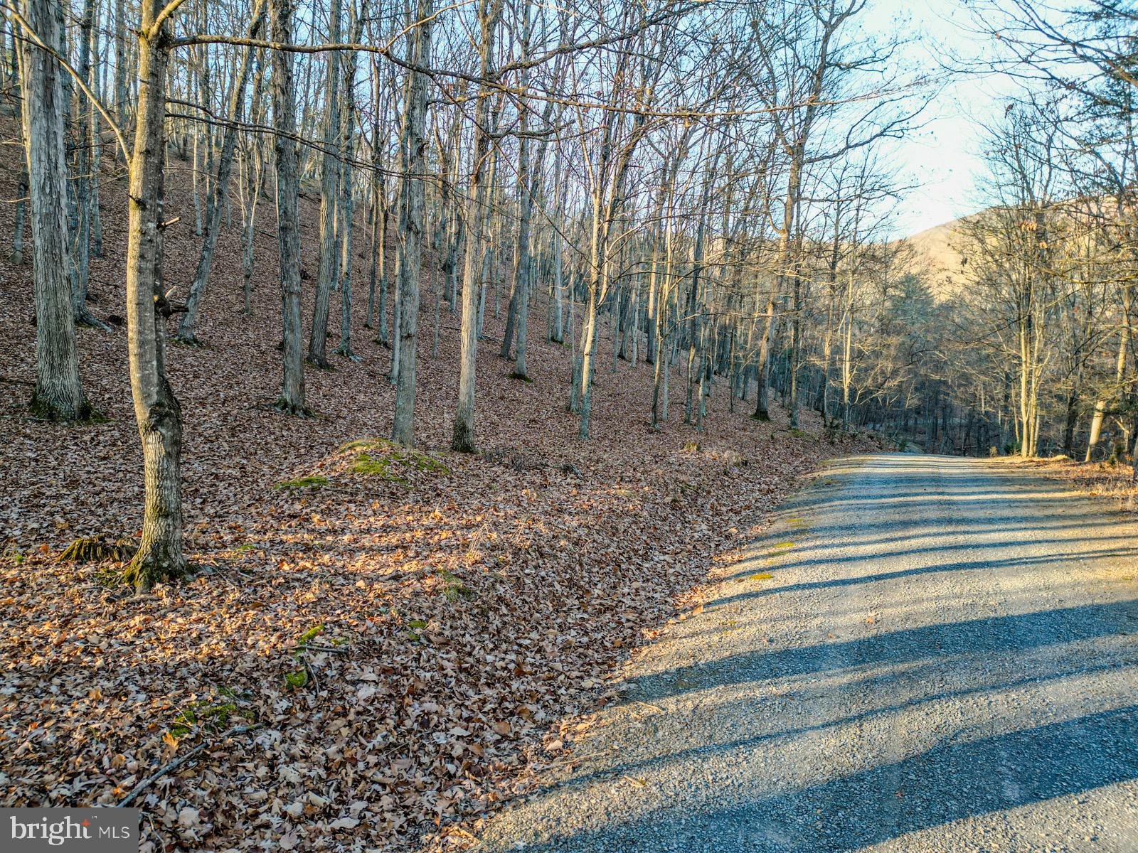 MOUNTAIN COVE - Land