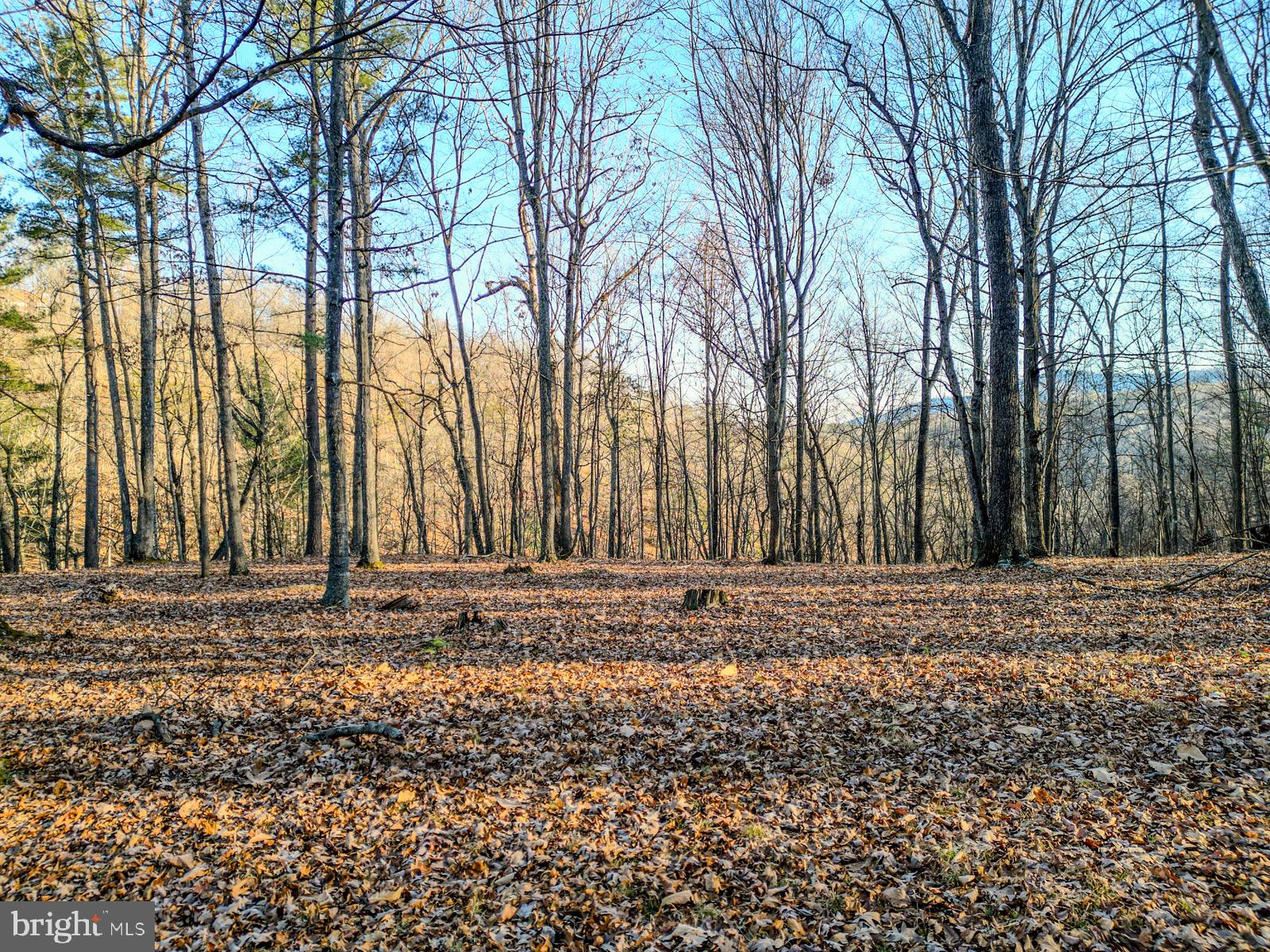 MOUNTAIN COVE - Land