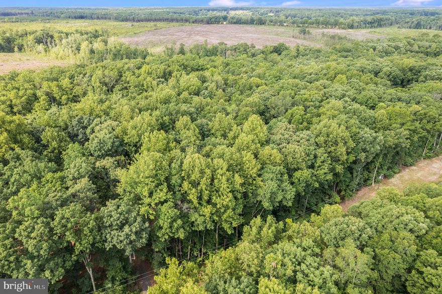 Discover the perfect canvas for your dream home in Locust Grove, Virginia, with this exceptional builder's choice lot spanning over 5 lush acres. Located in a highly sought-after area, this expansive property offers a rare opportunity to blend proximity to amenities and a private location. This lot features a four-bedroom conventional perk site, ensuring ease of construction for your future home. Situated conveniently close to shopping in Culpeper, Locust Grove, and Fredericksburg, you'll enjoy the convenience of urban amenities while immersed in the tranquility of rural Virginia. High-speed Fiberlink internet is available at the street, providing seamless connectivity for both work and leisure pursuits. Whether you envision a sprawling estate or a cozy retreat surrounded by nature, this lot offers the space and flexibility to bring your vision to life. Don't miss out on this unique opportunity to build your ideal home in Locust Grove, Virginia. Schedule a visit and explore the endless possibilities this property has to offer. If you need a local builder to help you with your construction vision, references can be provided upon request and make sure to watch the aerial video!