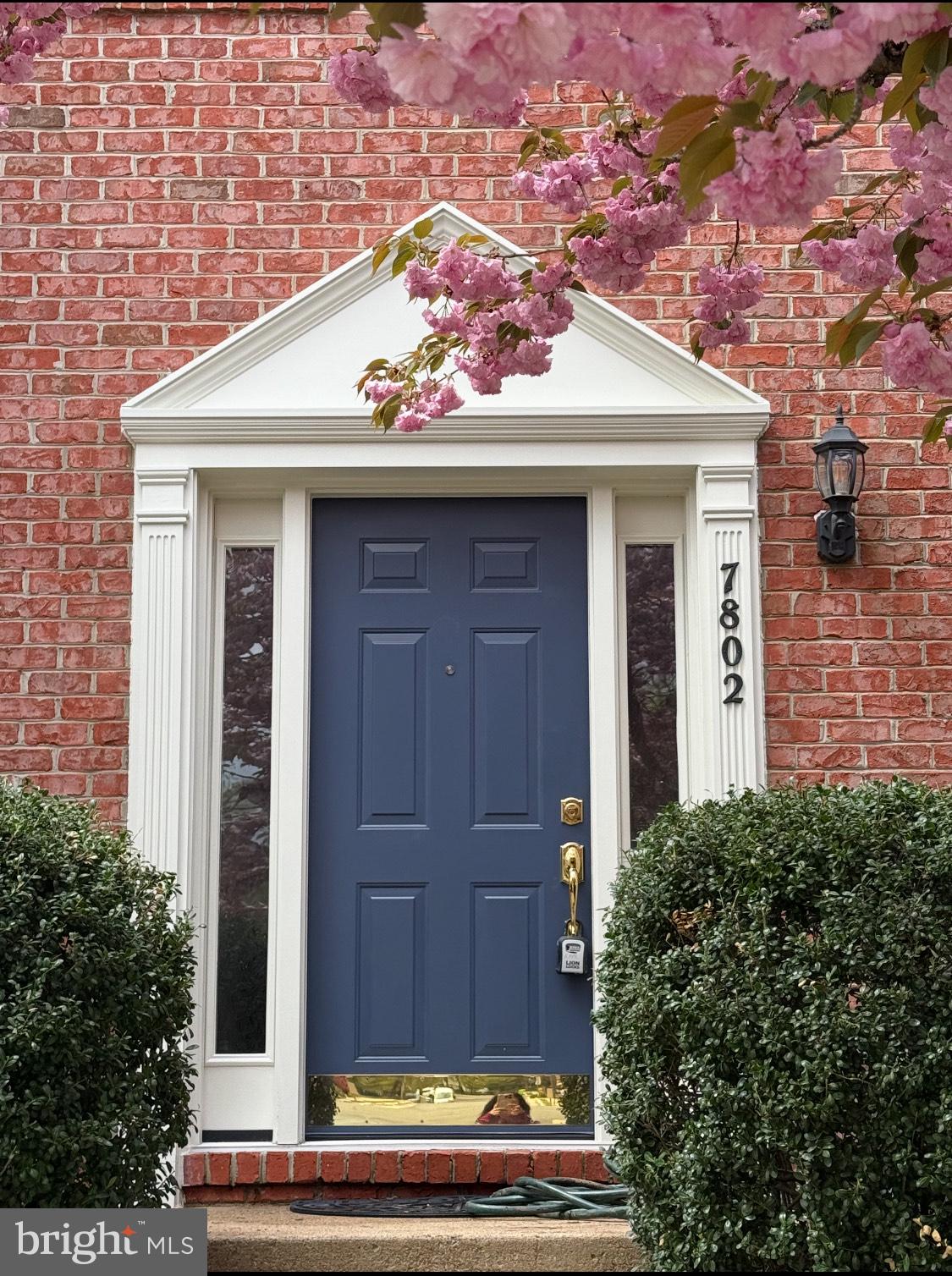 ISLAND CREEK - Residential