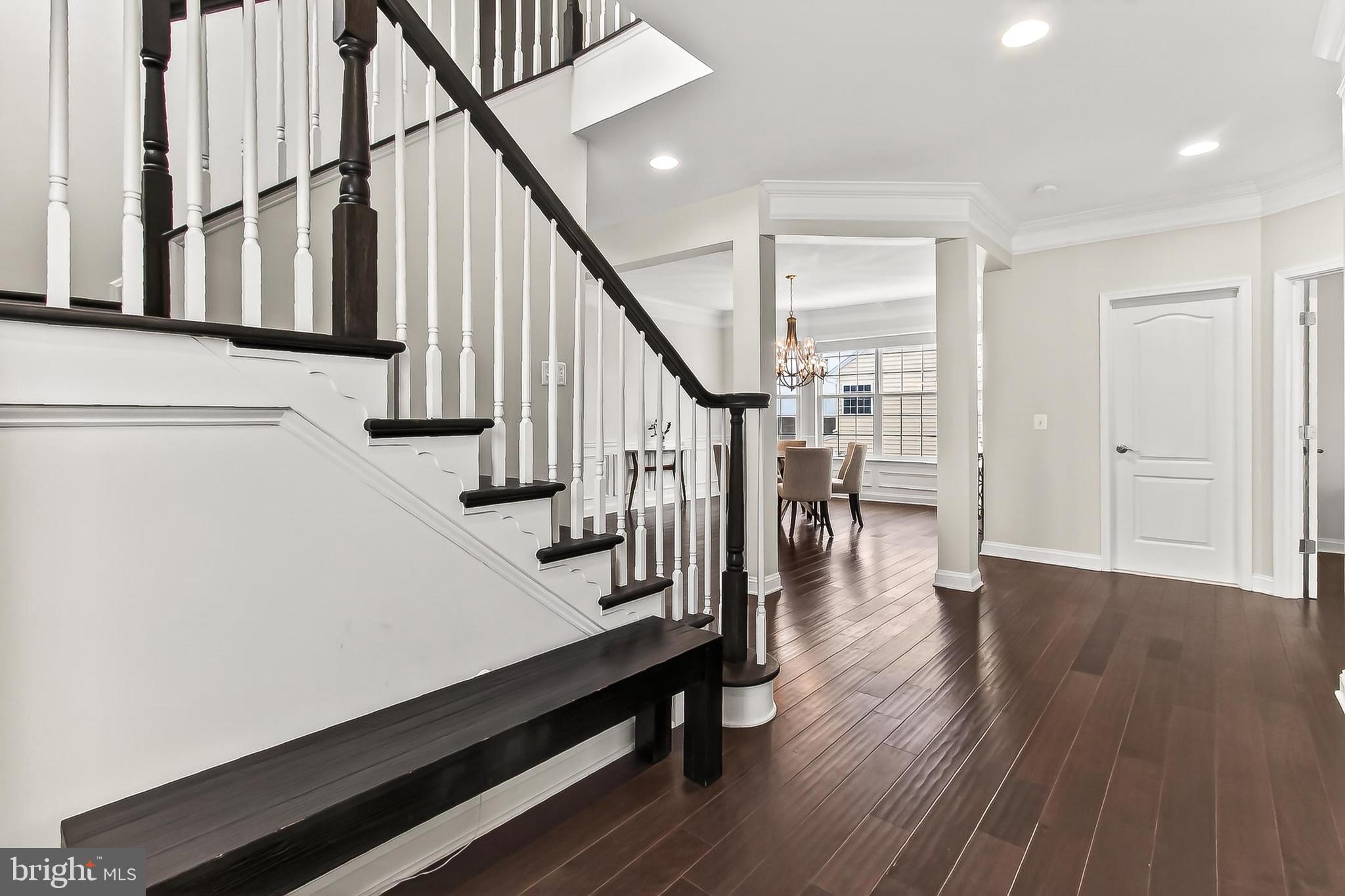 ELYSIAN HEIGHTS - Residential