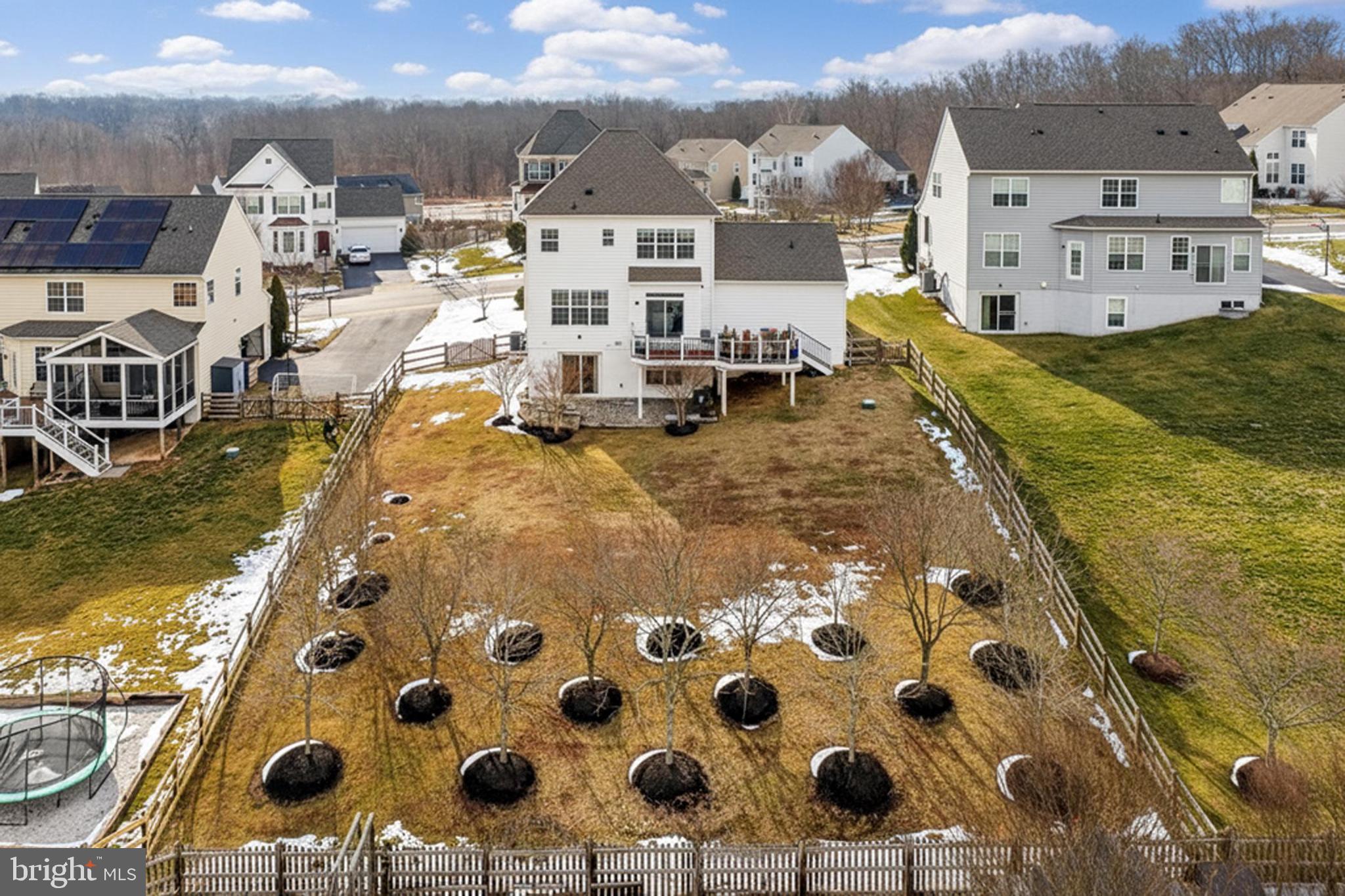 ELYSIAN HEIGHTS - Residential