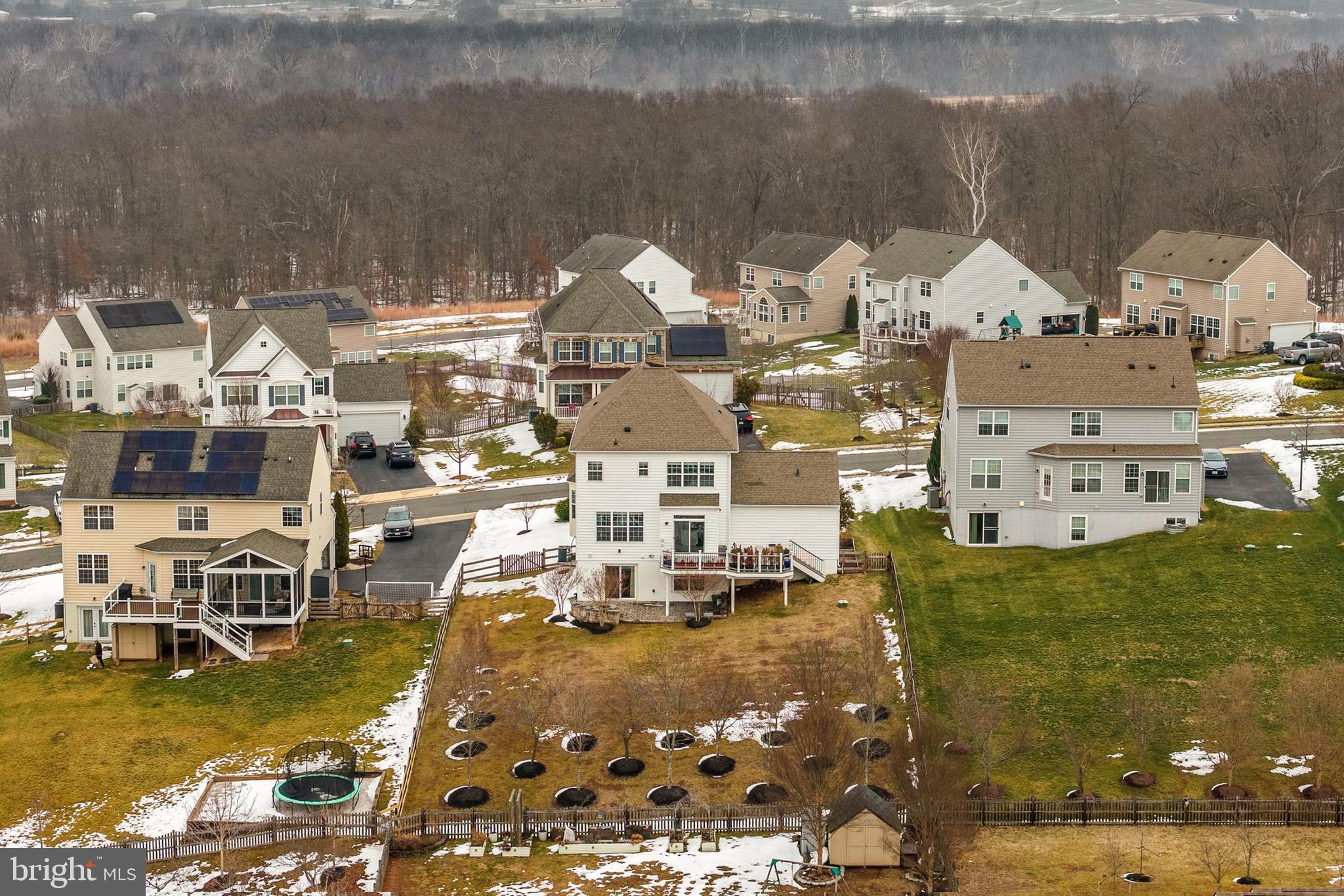 ELYSIAN HEIGHTS - Residential