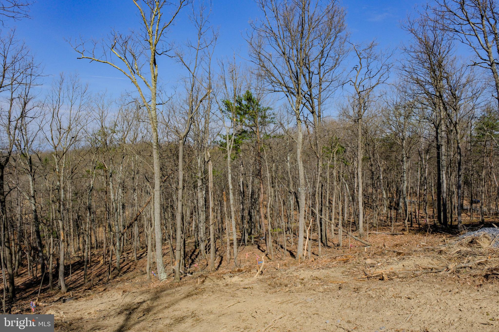 SHEN FARMS MT VIEW - Residential