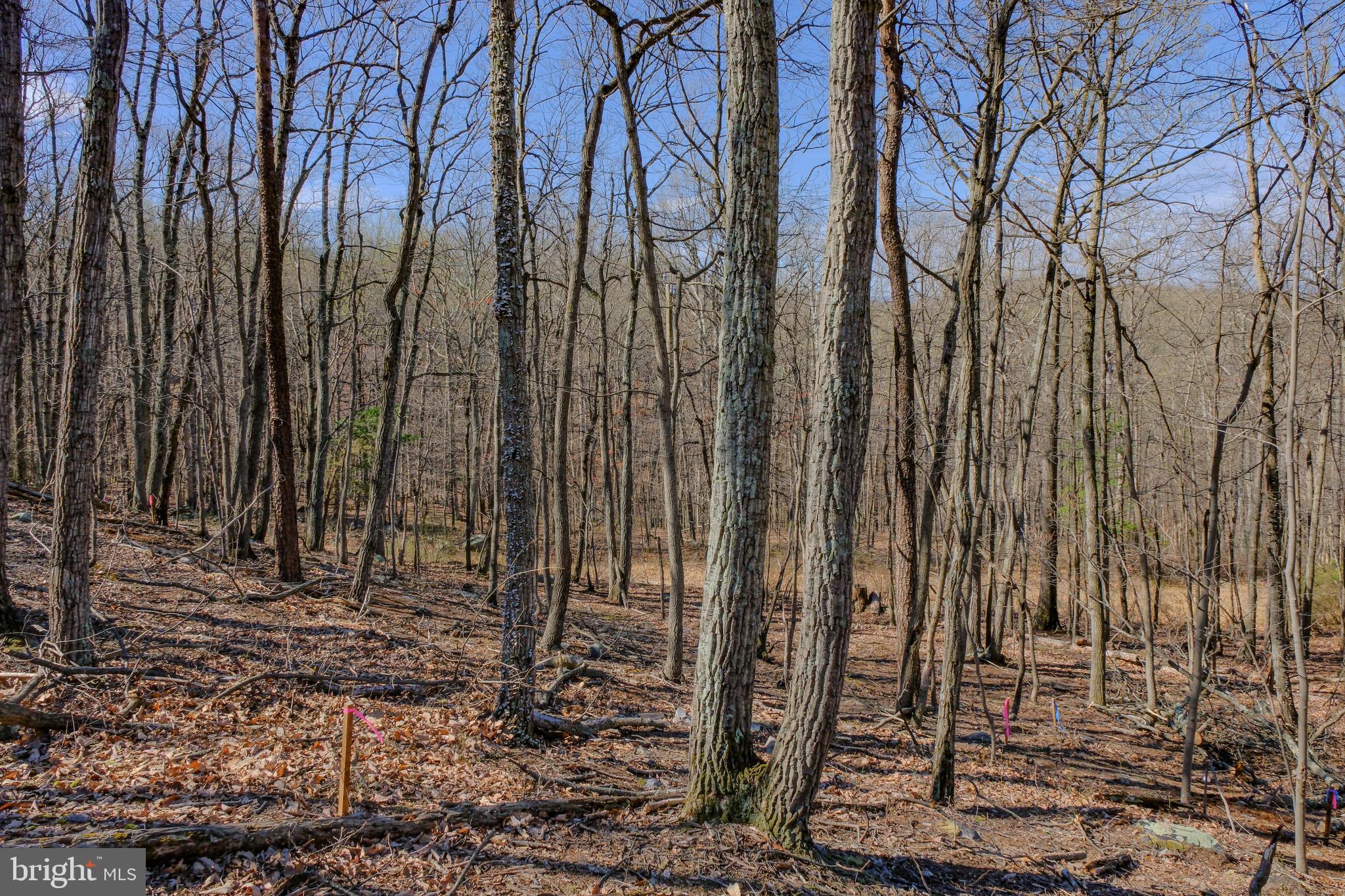SHEN FARMS MT VIEW - Residential