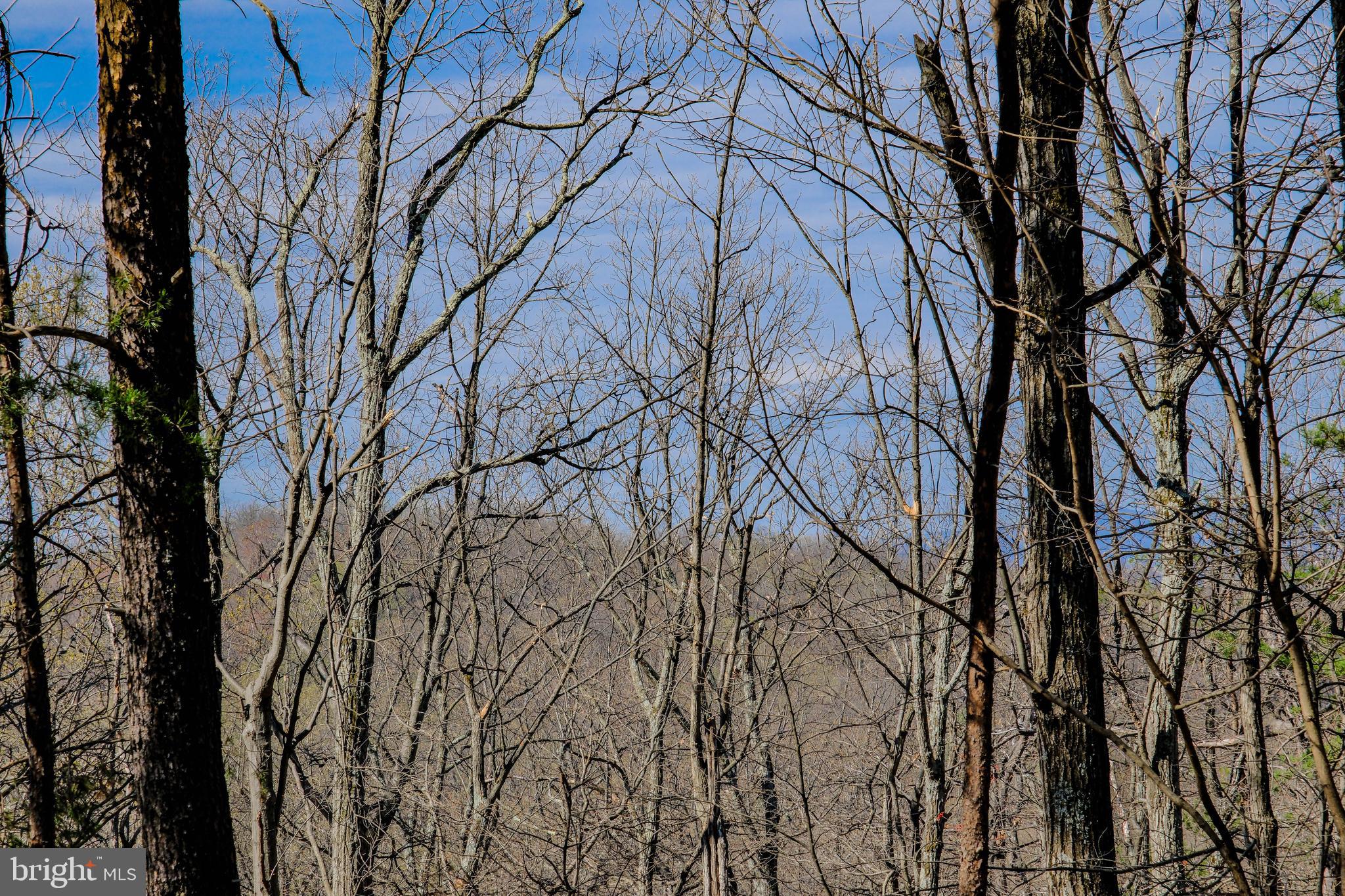 SHEN FARMS MT VIEW - Residential