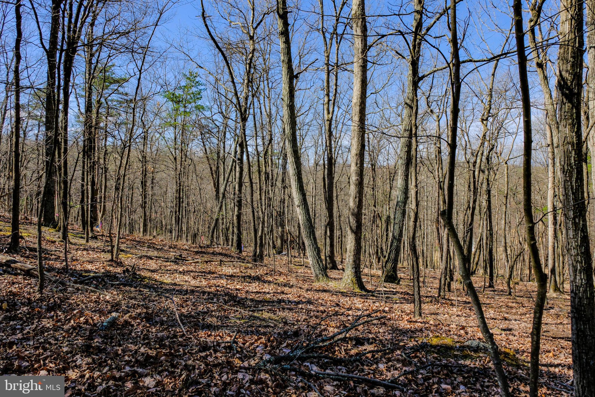 SHEN FARMS MT VIEW - Residential