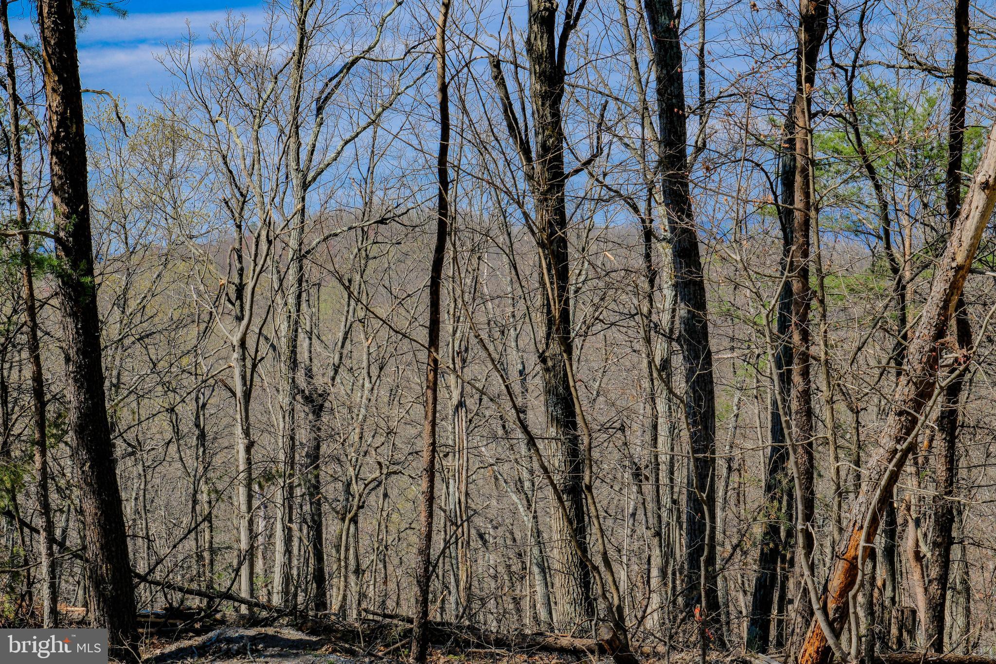 SHEN FARMS MT VIEW - Residential