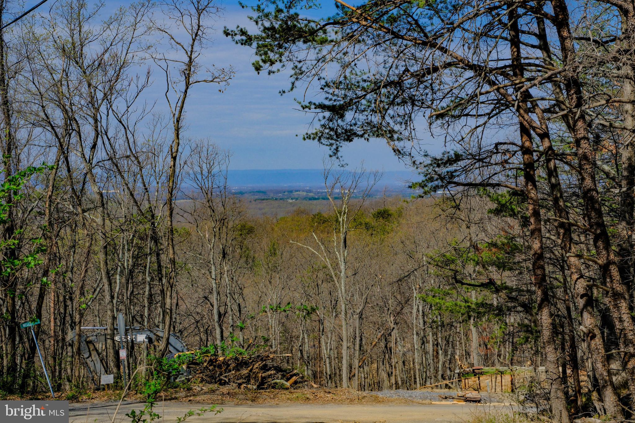 SHEN FARMS MT VIEW - Residential