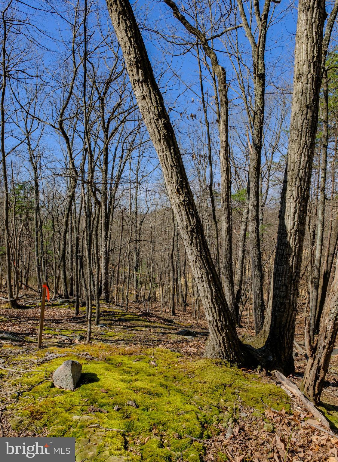 SHEN FARMS MT VIEW - Residential