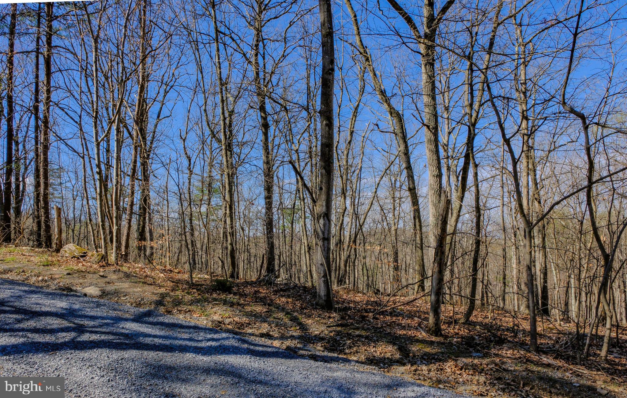 SHEN FARMS MT VIEW - Residential