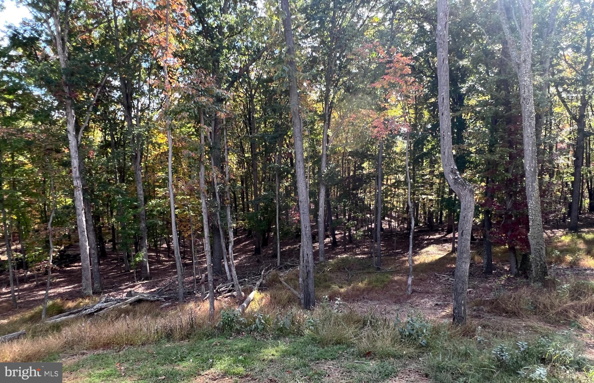 PARKHILL VIEWS - Residential