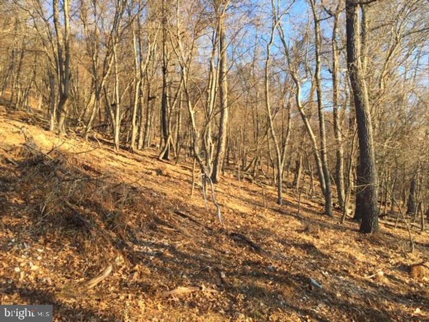 Wanting to build your dream cabin or home, there is lots of room for that.  Land is plentiful with wildlife. Own your peace of heaven today!