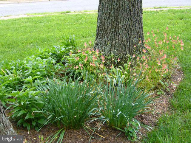 LANDMARK SQUARE - Residential
