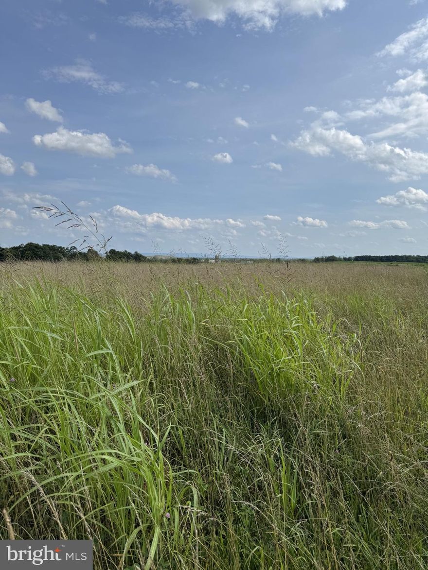 Discover the perfect setting for your dream home in this beautiful new subdivision located in the charming community of Clear Brook, VA. This 2.01-acre homesite offers gently rolling land with a serene rural feel, yet is conveniently close to major commuter routes, shopping, and schools. The lot is ready for your custom build—bring your vision and create the lifestyle you’ve always wanted. Enjoy peaceful surroundings, scenic views, and the opportunity to own a slice of Virginia countryside. Don’t miss this chance to build in one of Clear Brook’s most desirable new neighborhoods!