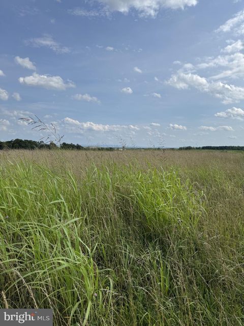 Vacant Land For Sale - LOT 2 Glebe Drive<br/> CLEAR BROOK, VA 22624