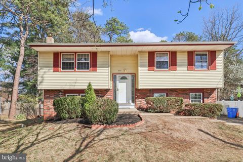 317 CAYUGA TRAIL BROWNS MILLS NJ 08015