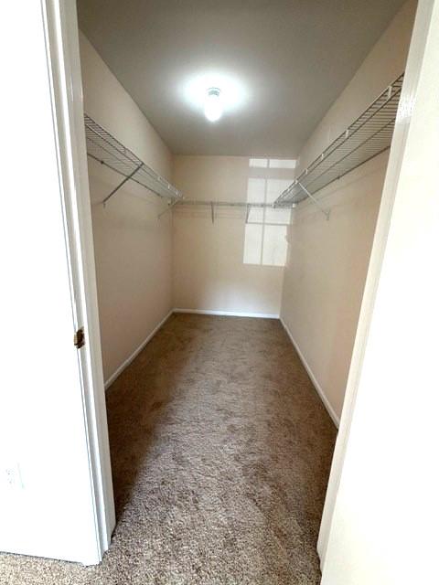 3801 SAXONY DRIVE