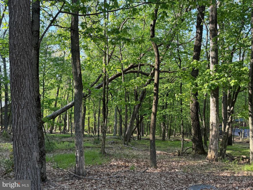 Looking to build in 2026 or beyond?  Secure your lot today!  Situated close to the community entrance and near the recreation area, this building lot is mostly level with just enough slope to allow for a daylight basement if desired.  What's unique about this lot is that it goes from Jay Peak Lane all the way to the next street at the cul-de-sac on St Moritz.  This will allow you to position your home HOWEVER you'd like and place your driveway on either street.  The adjoining lot at 58 Jay Peak is also listed for sale.  Purchase both for a generously sized 1.236-acre parcel!  Whether you've been imagining building a second home or just waiting to build that forever home, WAIT NO MORE!  The Cove Village Community is situated in the foothills of the Poconos and only 1 1/2 hours to New York,  With easy access to I-81 your commute to Hazleton, Wilkes Barre, or Scranton is a breeze.  Bring your own builder and let's get started.   Another cost-saving perc of the community is having public water and sewer already in place and ready for you to connect through Aqua of Pa.   750 acres of unoccupied prime hunting, ATV, and snowmobile riding land surround the residential portion of Cove Village and is allocated only for the residents of the community and their guests!  Driving through the community, the peace and tranquility will envelop you.  At any given moment the deer, turkey, and birds will entertain you in your own backyard.   Homes within the community vary from rustic cabins and chalets to traditional ranch or two-story homes and even exquisite new construction or dreamy mountain log homes.  There really is something for everyone.  The approximately 278 acres of residential homes and lots are occupied by full-time residents, part-time vacation homes, and even some snowbird second homes.  Cove Village offers an abundance of amenities including a swimming pool, stocked fishing lake, a basketball court, tennis courts, a volleyball court, 2 playgrounds, a baseball field, ATV paths, hunting, a mini golf course, walking paths, and year-round Community events.  I can't forget to mention the beautiful lodge ideal for renting for family gatherings.   This lot and community just might be exactly what you've been looking for.  Air B and B are not permitted. Camping on vacant lots is not permitted.  Mobile homes are not permitted.  Modular homes are permitted. The minimum square footage when building is 1400 square feet.  The community maintains the roads and snow removal.  Trash collection is also provided.   An appointment is required to view due to the gated community.  Call to schedule your tour today!