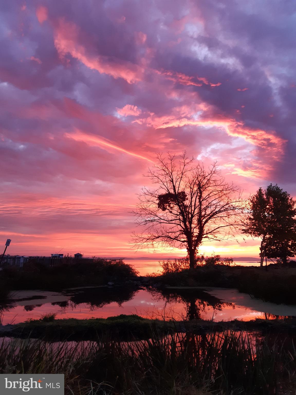 CANVASBACK COVE - Residential