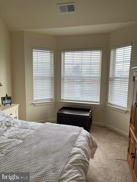 CANVASBACK COVE - Residential