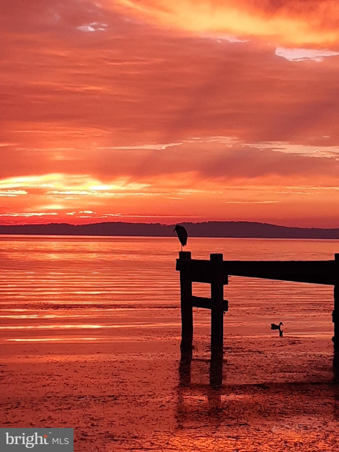 CANVASBACK COVE - Residential