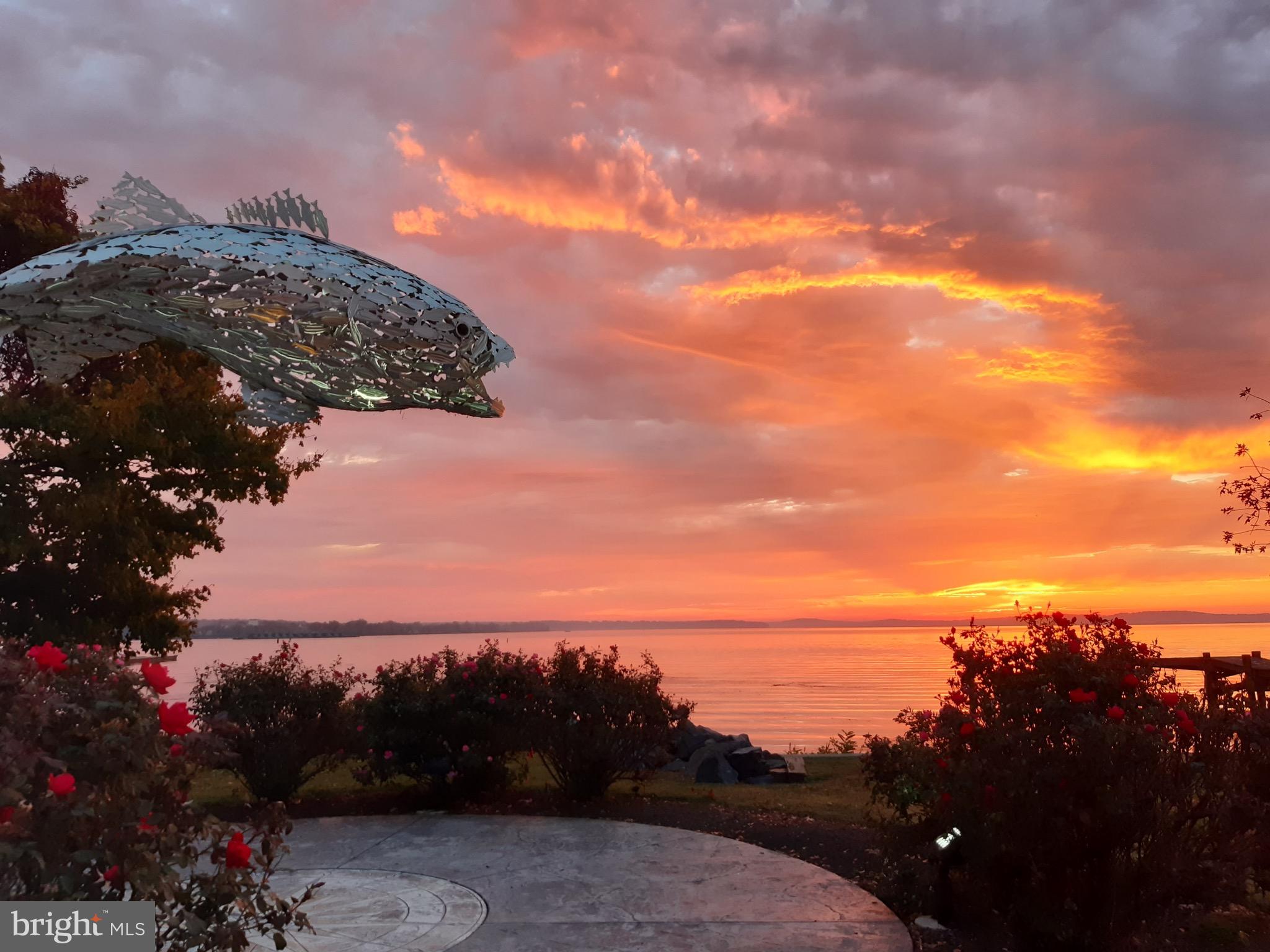 CANVASBACK COVE - Residential