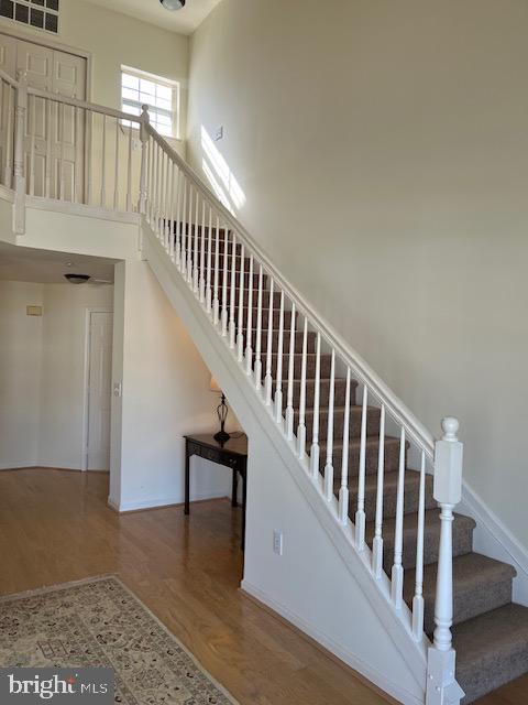 CANVASBACK COVE - Residential