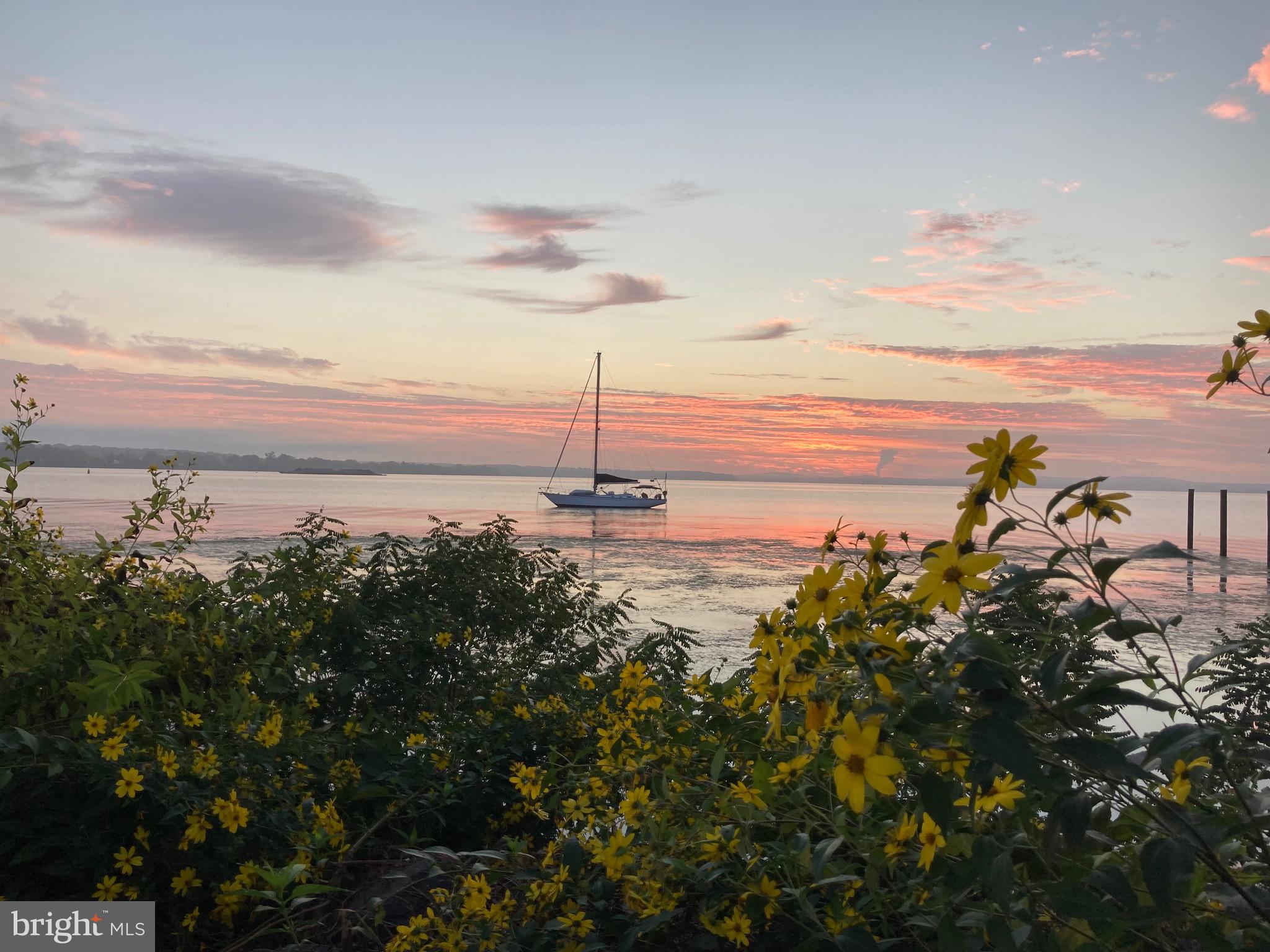 CANVASBACK COVE - Residential