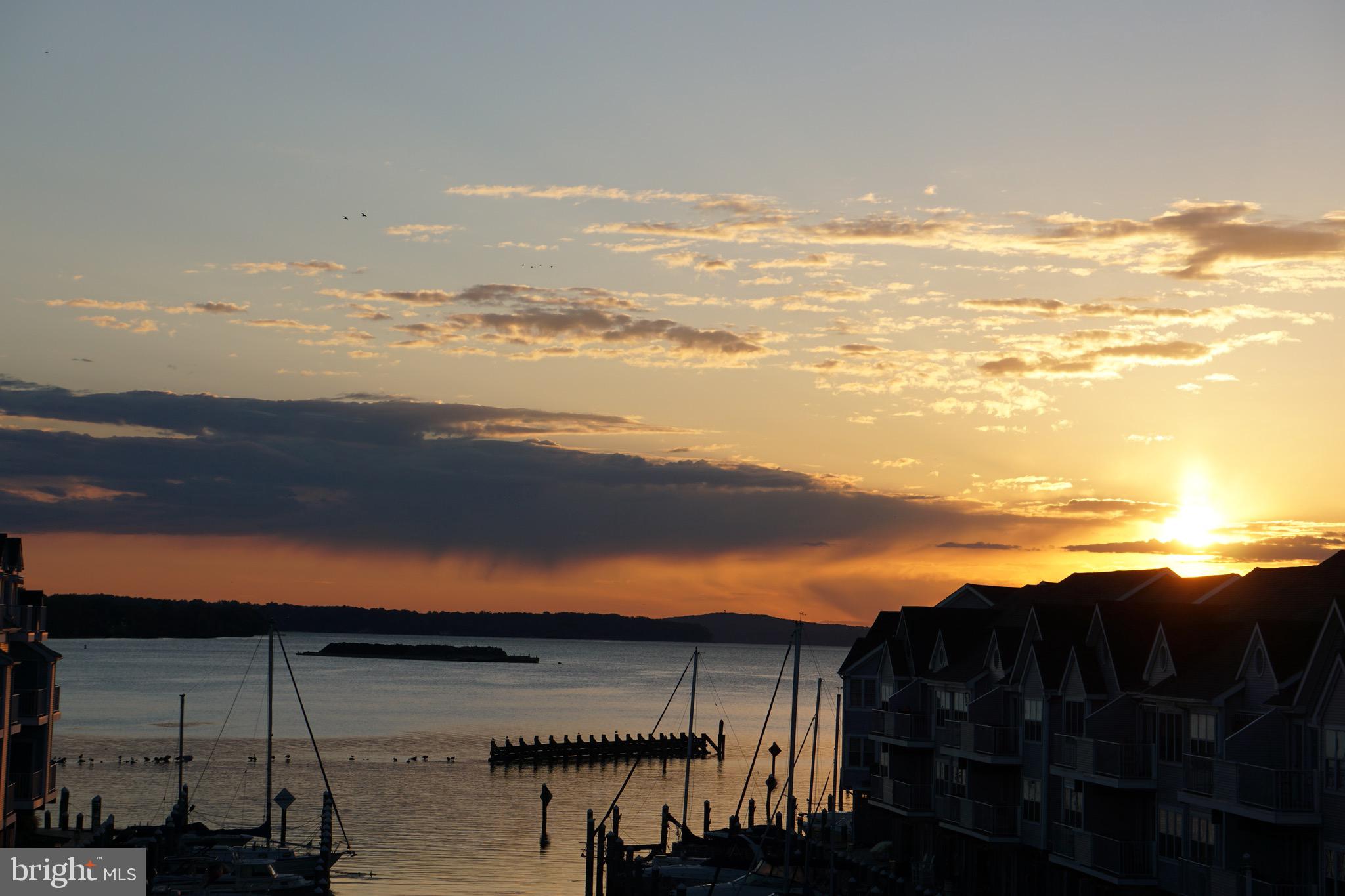 CANVASBACK COVE - Residential