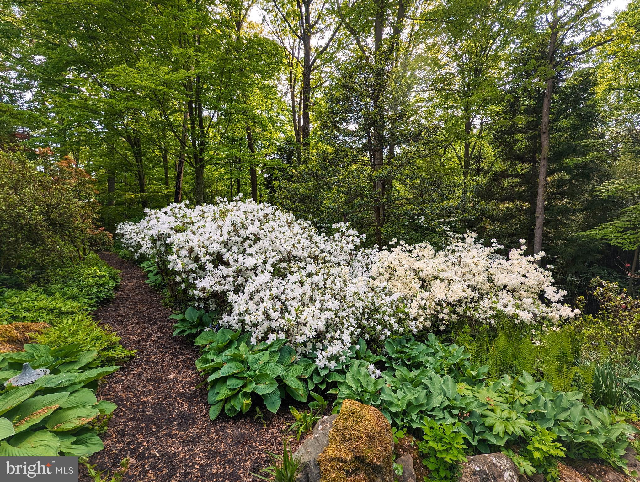 BLYTHEWOOD - Residential