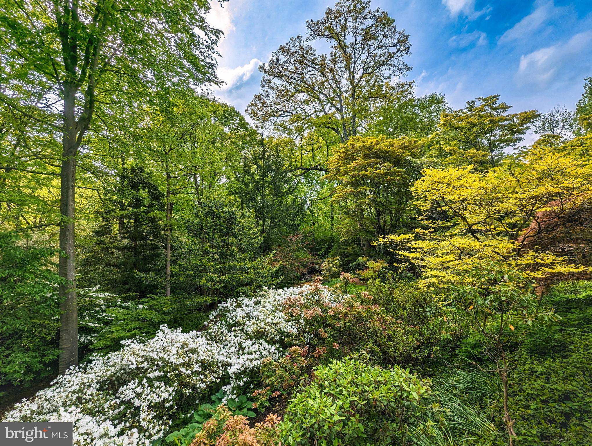 BLYTHEWOOD - Residential