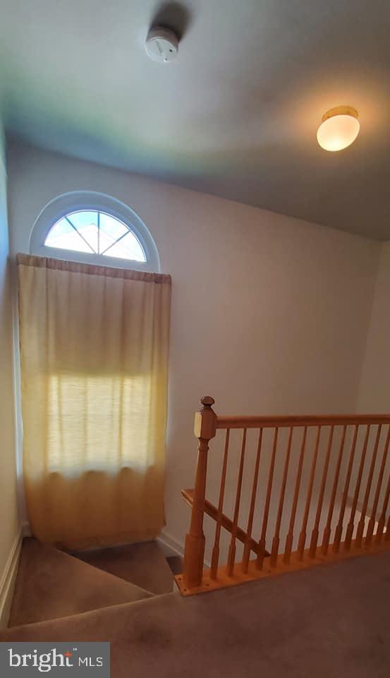 VILLAGE OF THOMAS RUN - Residential