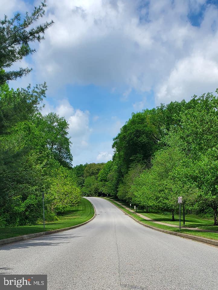 VILLAGE OF THOMAS RUN - Residential