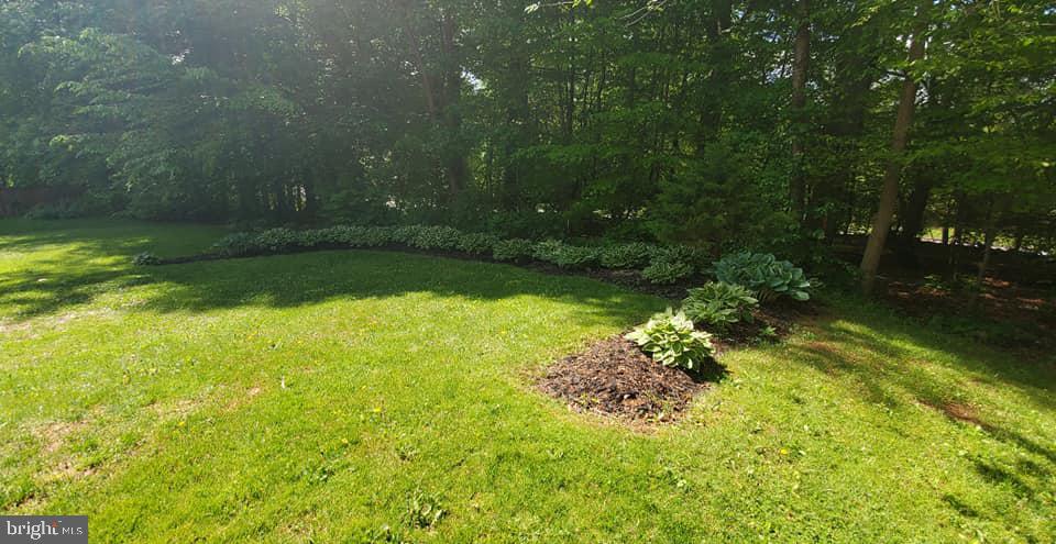 VILLAGE OF THOMAS RUN - Residential