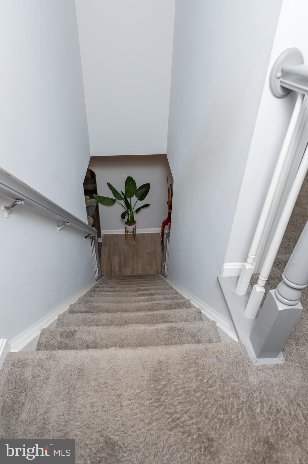 STRATFORD PLACE - Residential