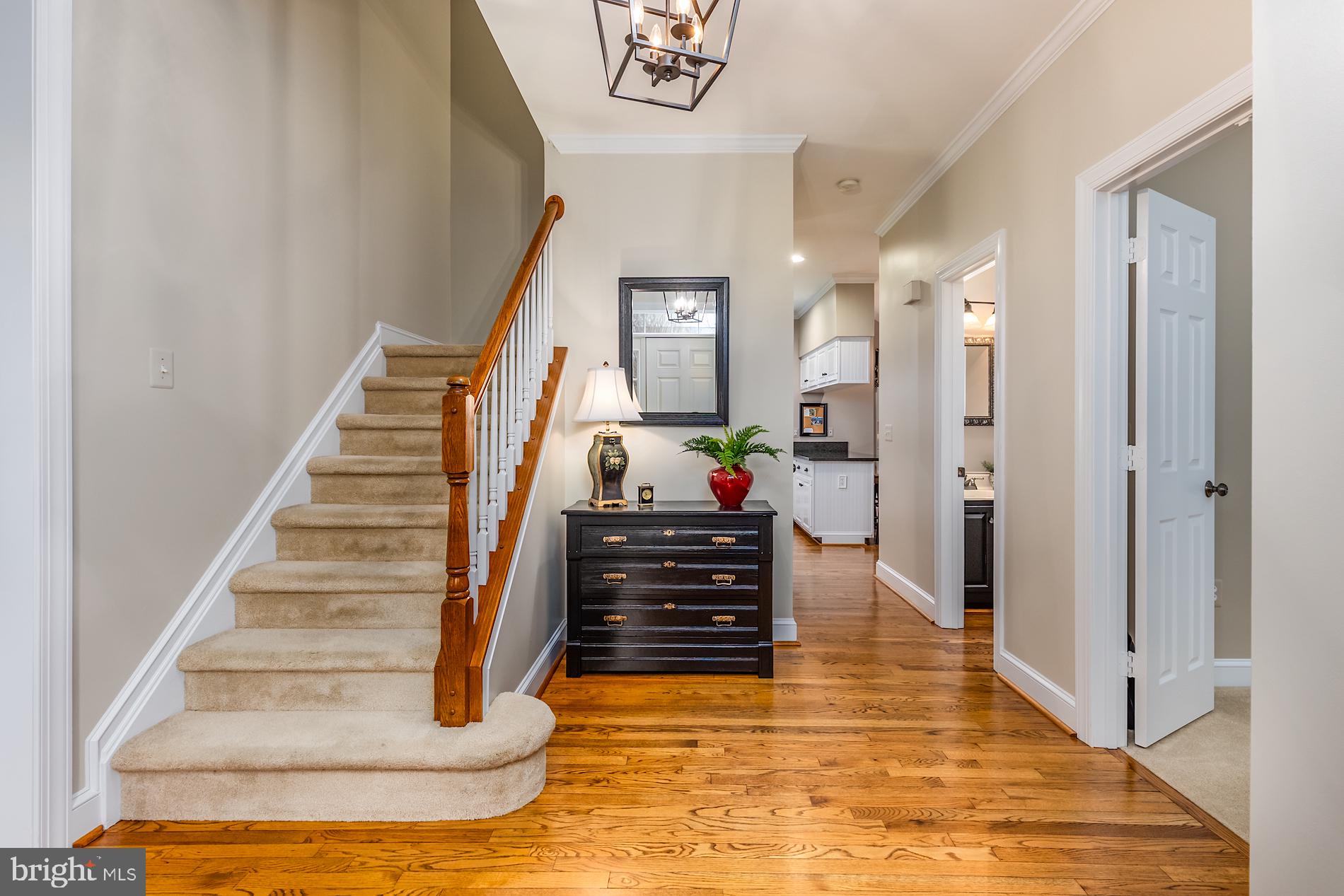 VIRGINIA RUN - Residential