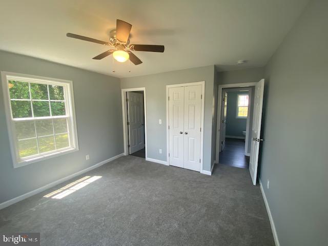 WASHINGTON PARK - Residential