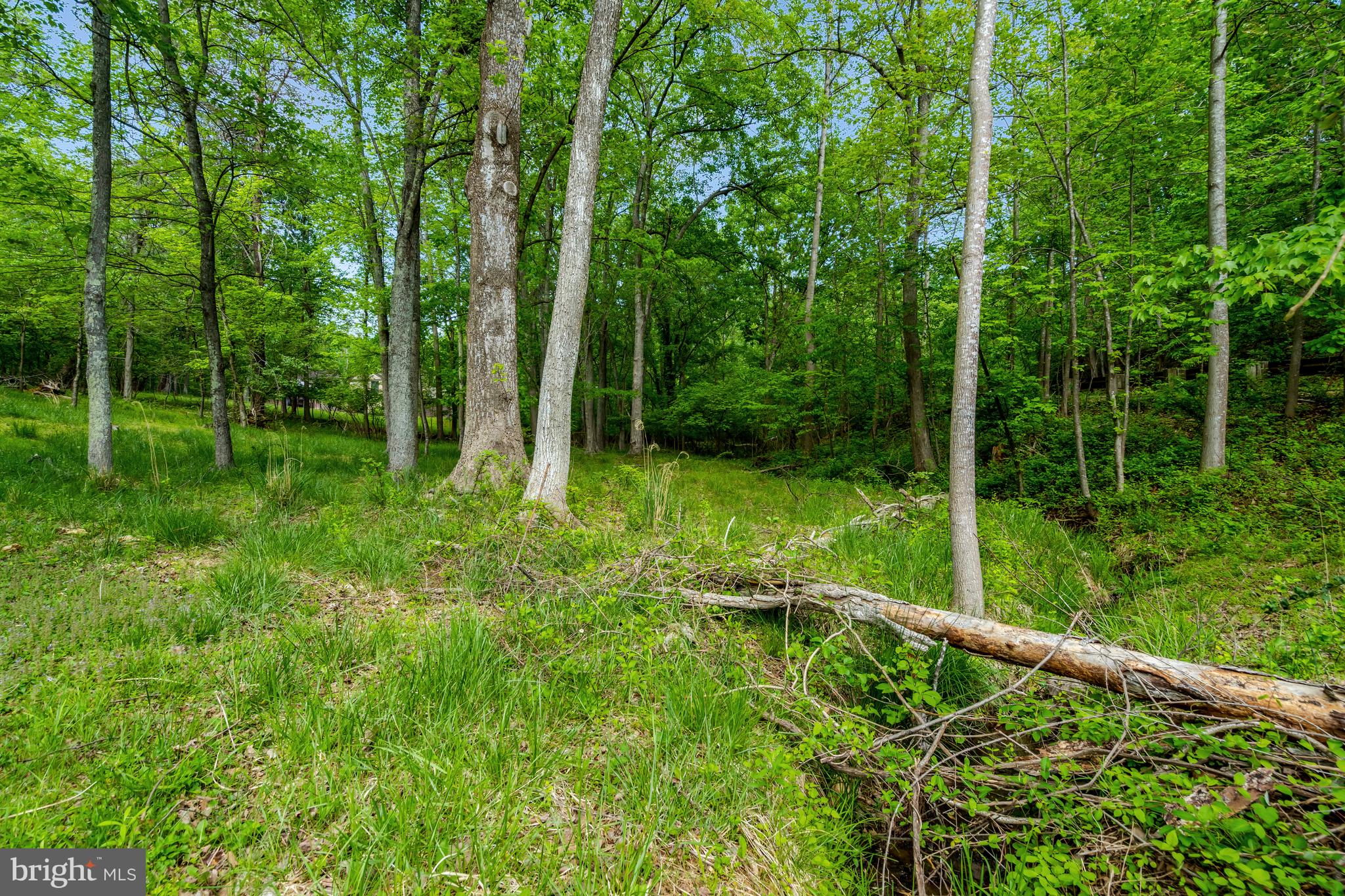 MOSBY WOODS - Residential