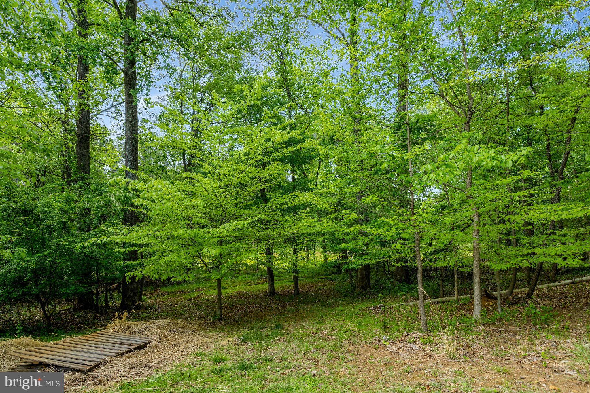 MOSBY WOODS - Residential