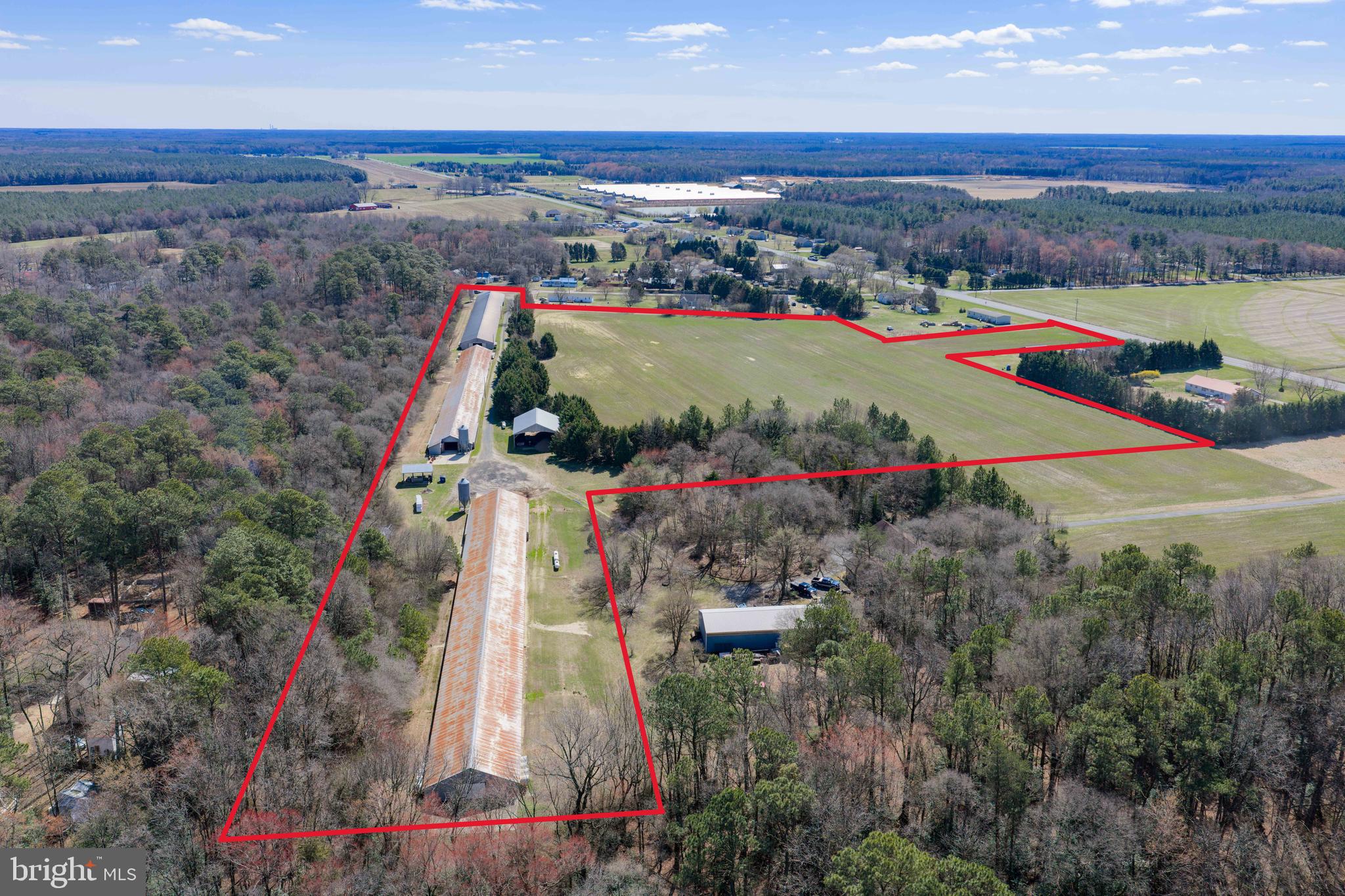 13651 WILSON HILL ROAD