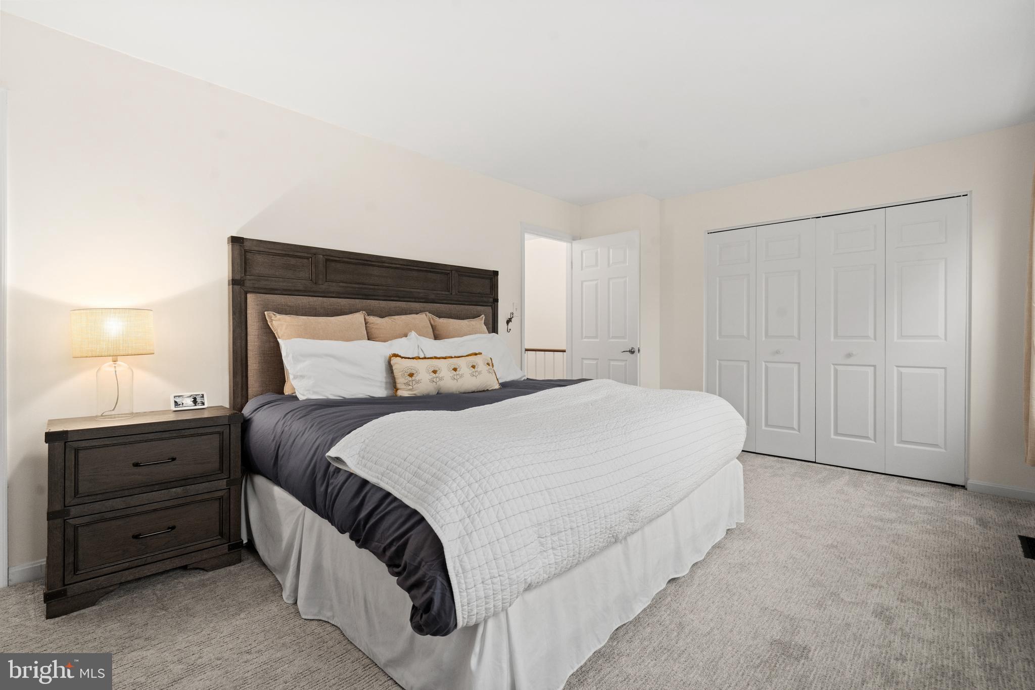 THE VILLAGE PARK - Residential