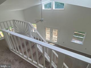 BLUEMONT - Residential