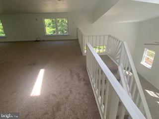 BLUEMONT - Residential