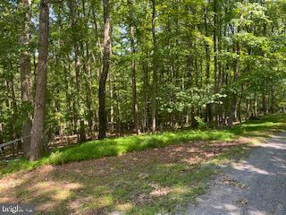 BLUEMONT - Residential