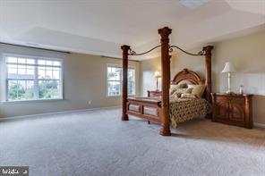 TURNING LEAF ESTATES - Residential